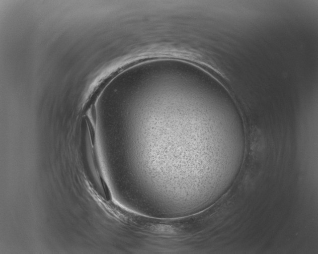 X0000085291507200703161436