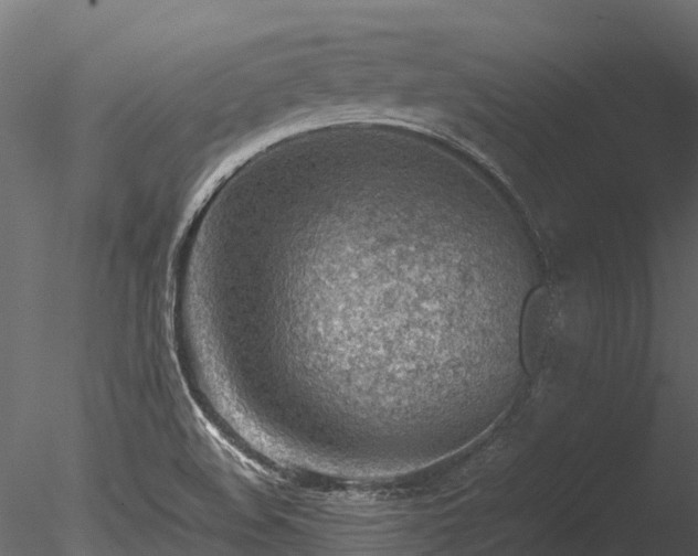 X0000085291508200703161436