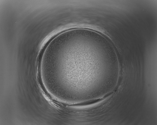 X0000085291511200703161436