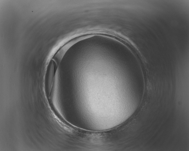 X0000085291512200703161436