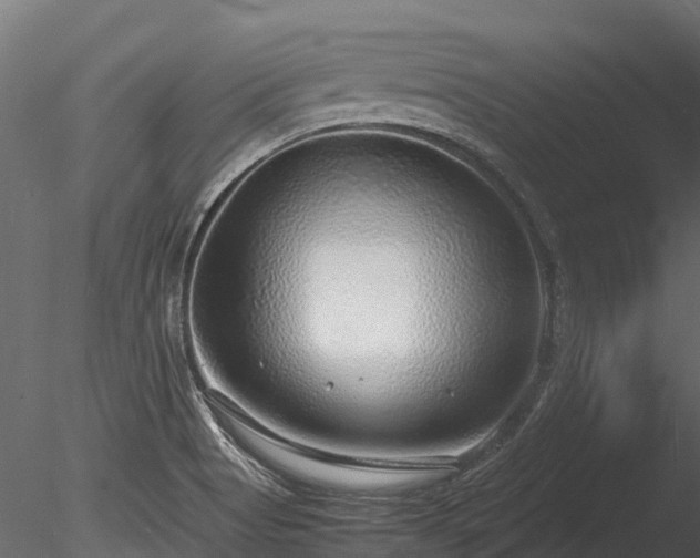 X0000085291513200703161436