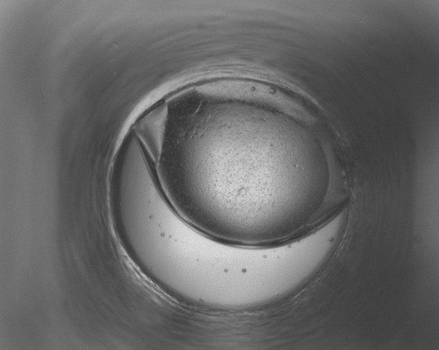 X0000085291514200703161436