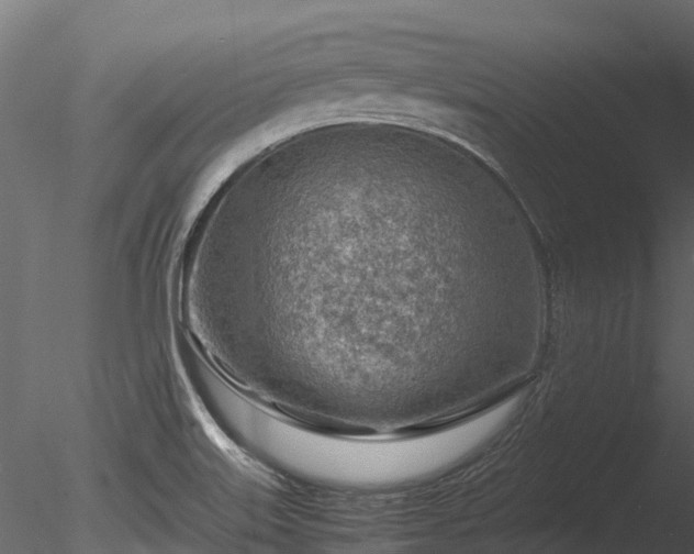 X0000085291515200703161436