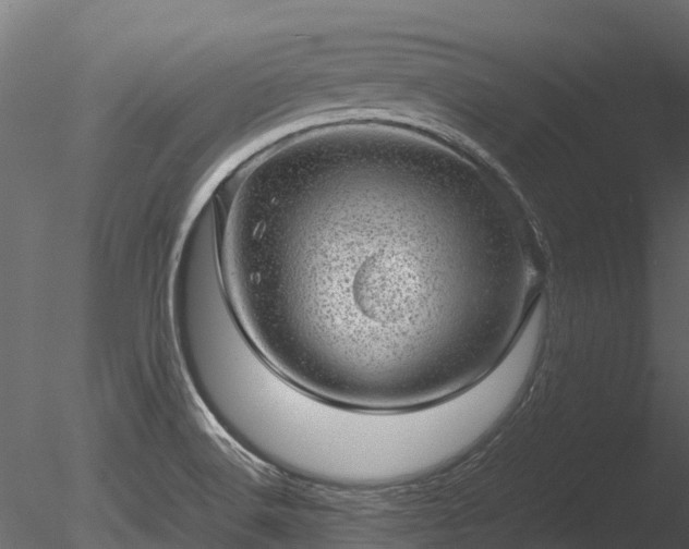 X0000085291516200703161436