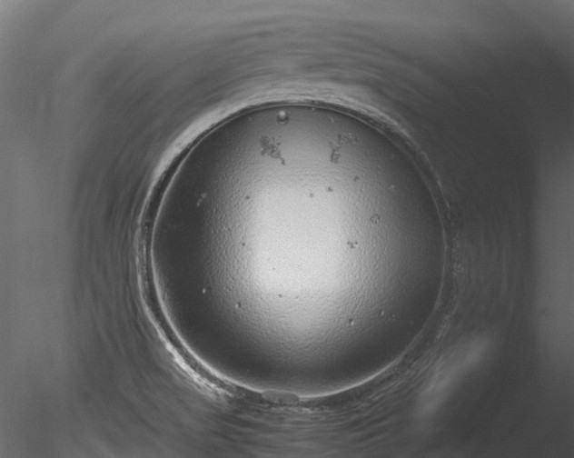 X0000085291517200703161436