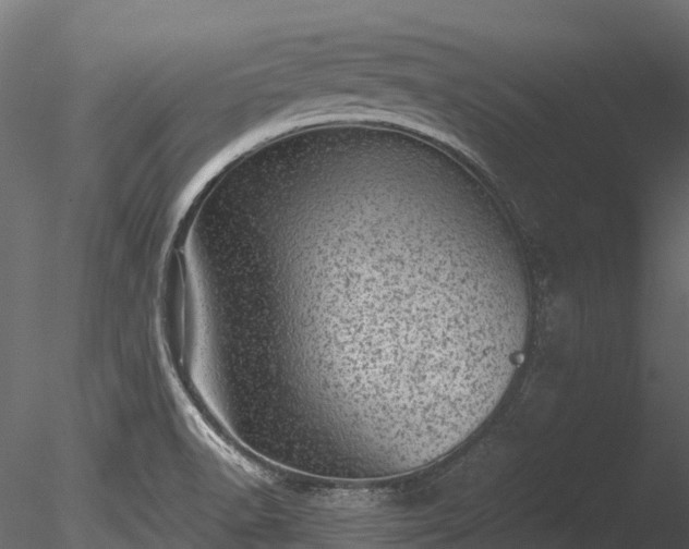 X0000085291518200703161436