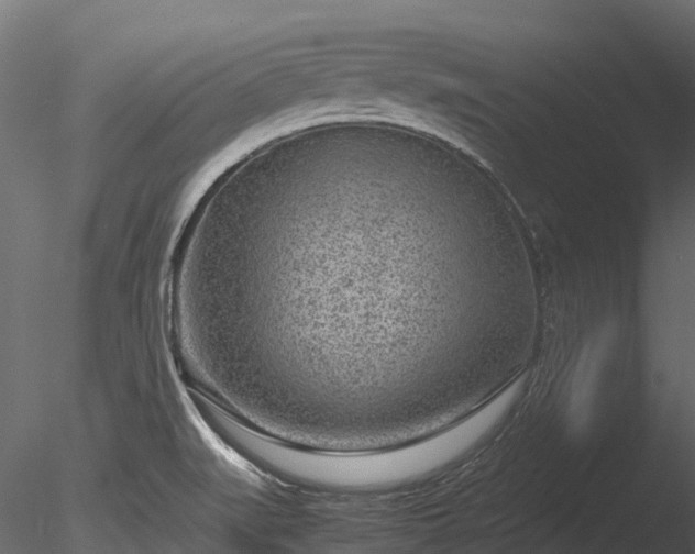 X0000085291519200703161436