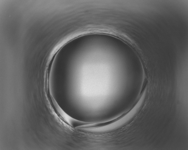 X0000085291520200703161436