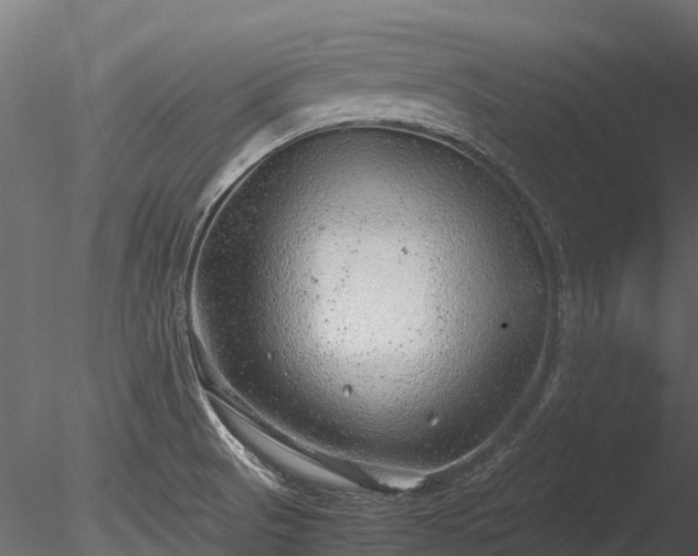 X0000085291521200703161436