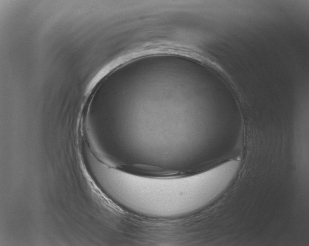 X0000085291522200703161436