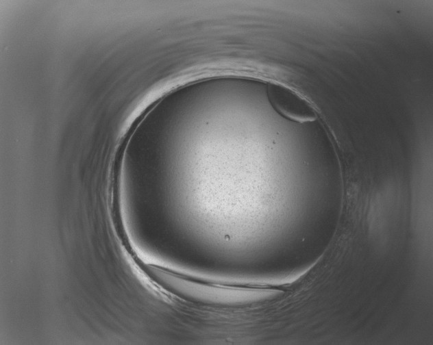 X0000085291523200703161436