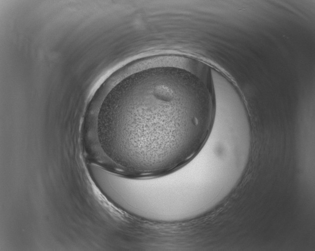 X0000085291524200703161436