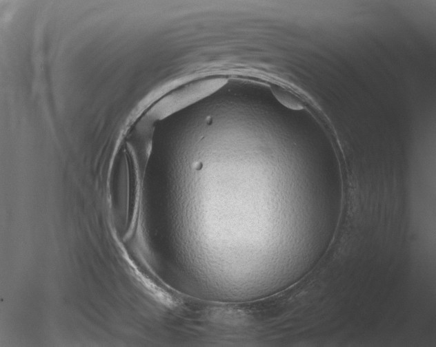 X0000085291525200703161436