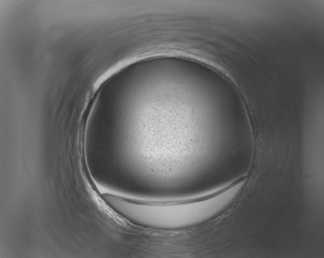 X0000085291526200703161436