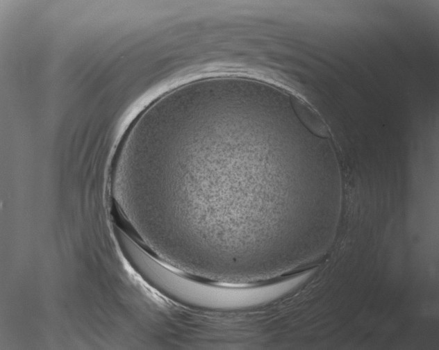 X0000085291527200703161436