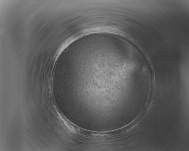 X0000085291529200703161436