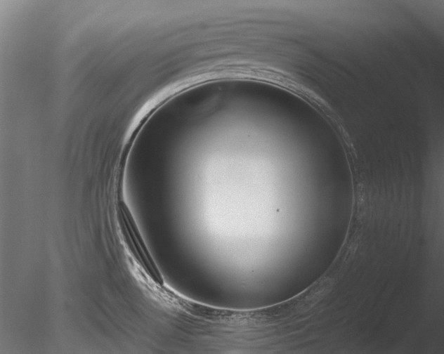 X0000085291530200703161436