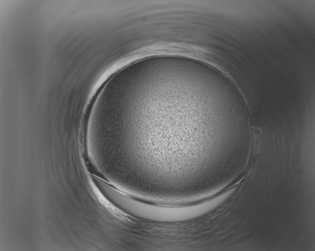 X0000085291531200703161436