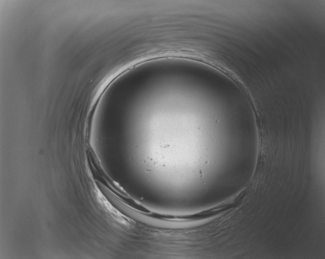 X0000085291532200703161436