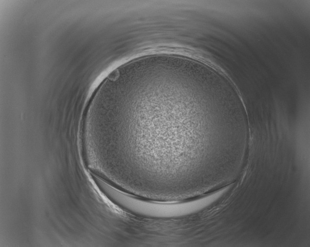 X0000085291533200703161436