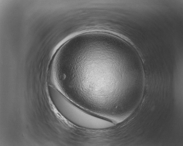 X0000085291534200703161436