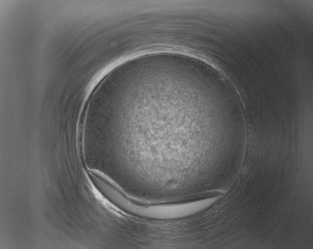 X0000085291535200703161436