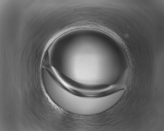 X0000085291536200703161437