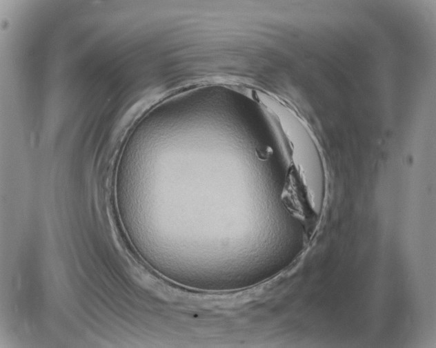 X0000085290001200703231845