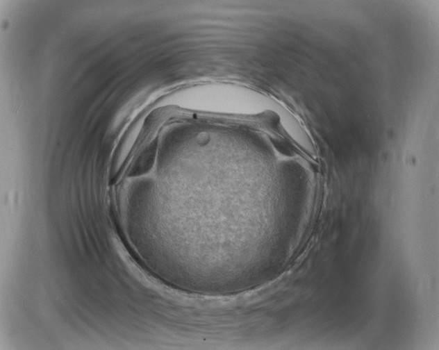 X0000085290002200703231844