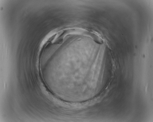 X0000085290006200703231844