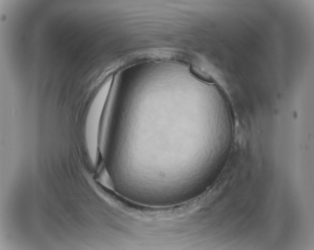 X0000085290013200703231844