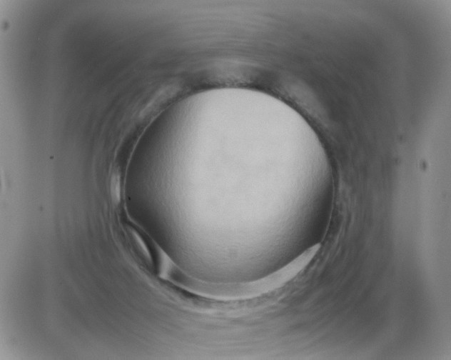 X0000085290021200703231844