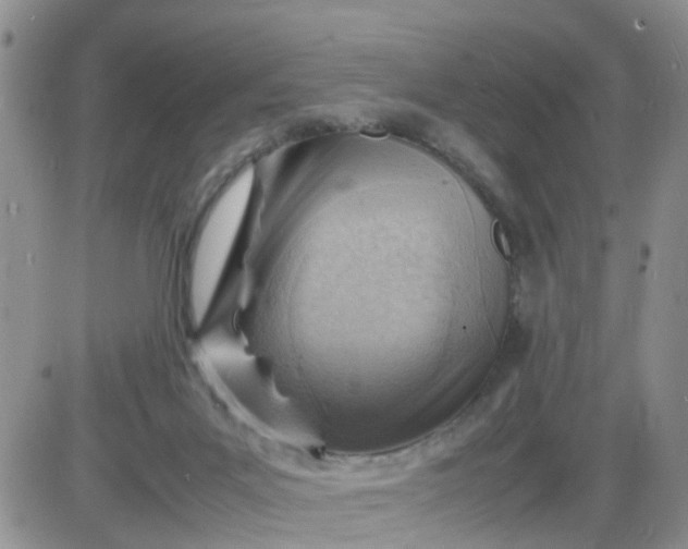 X0000085290023200703231844