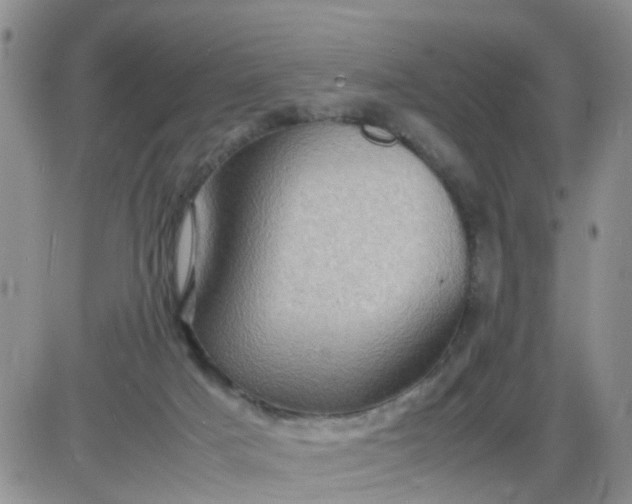 X0000085290025200703231844