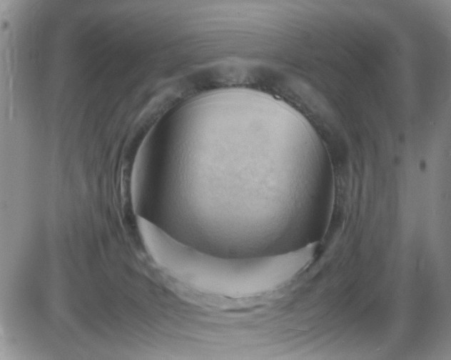 X0000085290035200703231844
