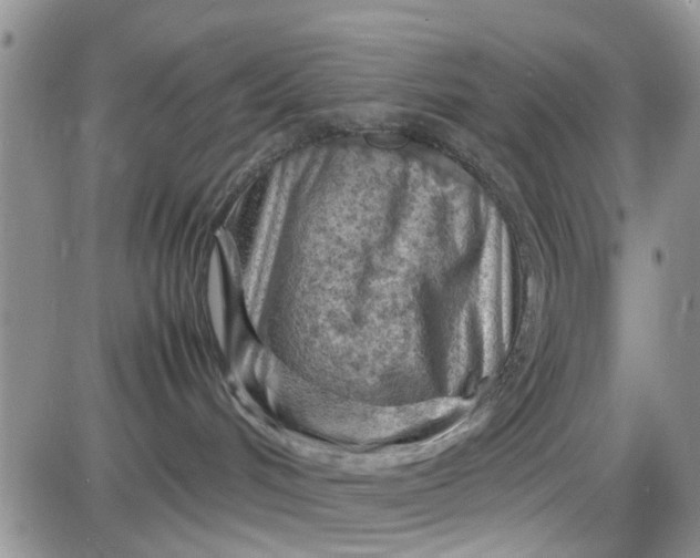 X0000085290048200703231844