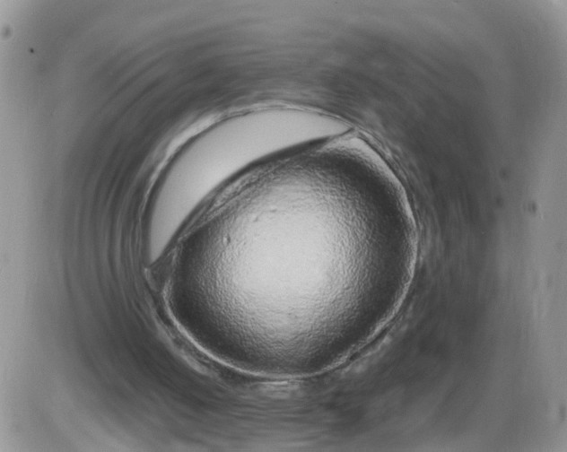 X0000085290050200703231843