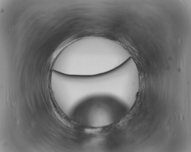 X0000085290051200703231843