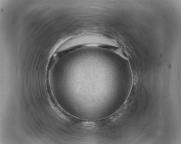 X0000085290052200703231843