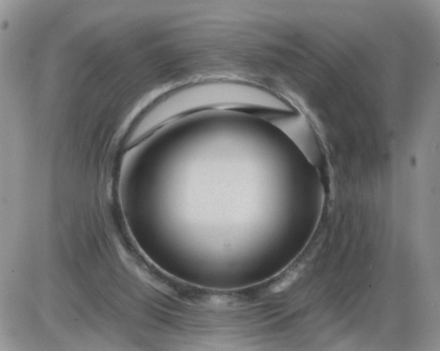 X0000085290060200703231843