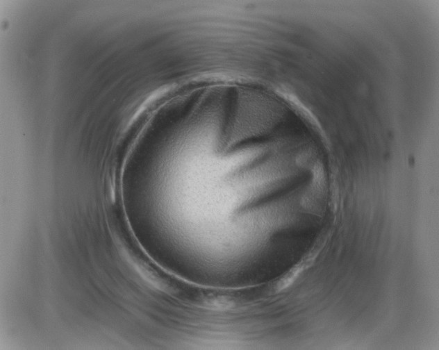 X0000085290062200703231843
