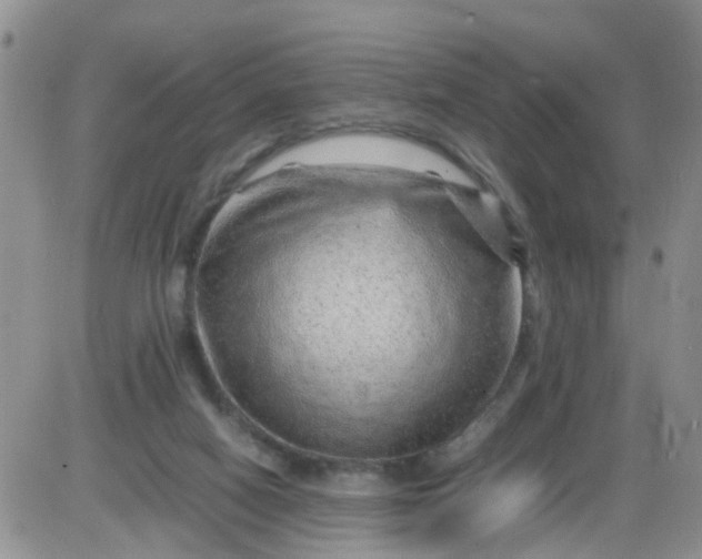 X0000085290066200703231843