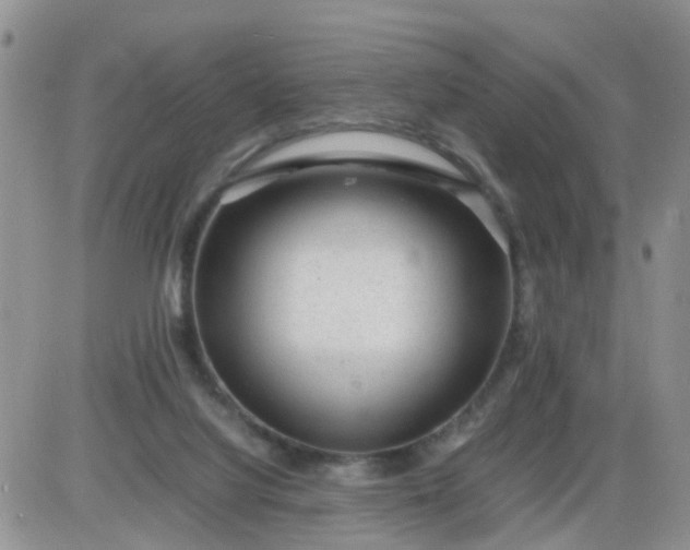 X0000085290068200703231843