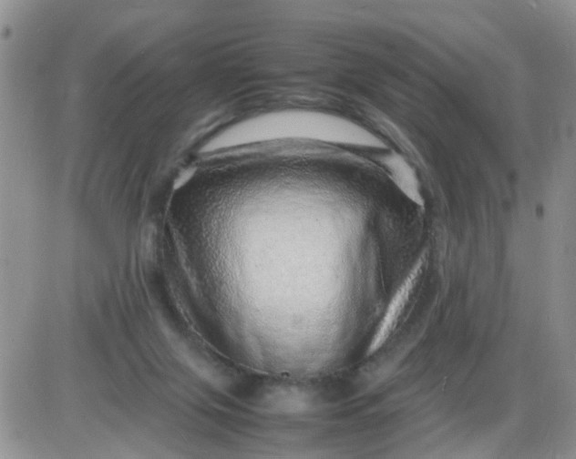 X0000085290071200703231843