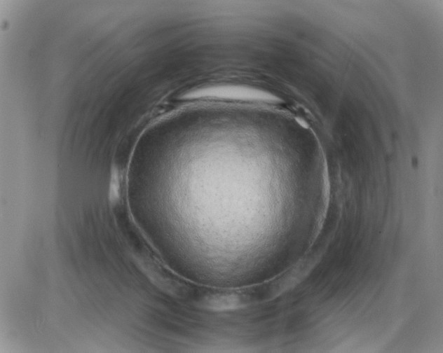 X0000085290075200703231843