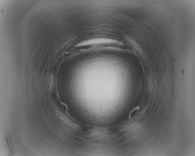 X0000085290077200703231843