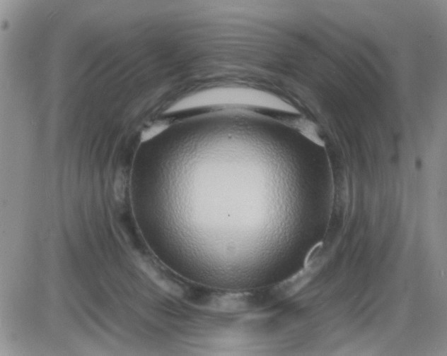 X0000085290078200703231843