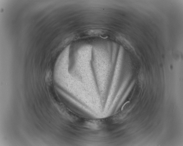 X0000085290079200703231843