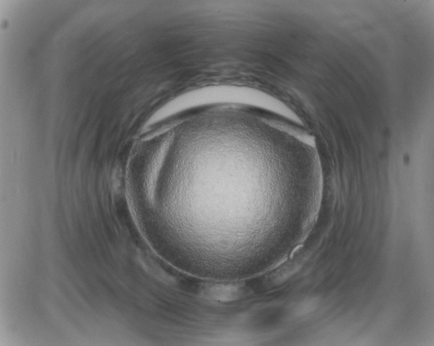 X0000085290081200703231843