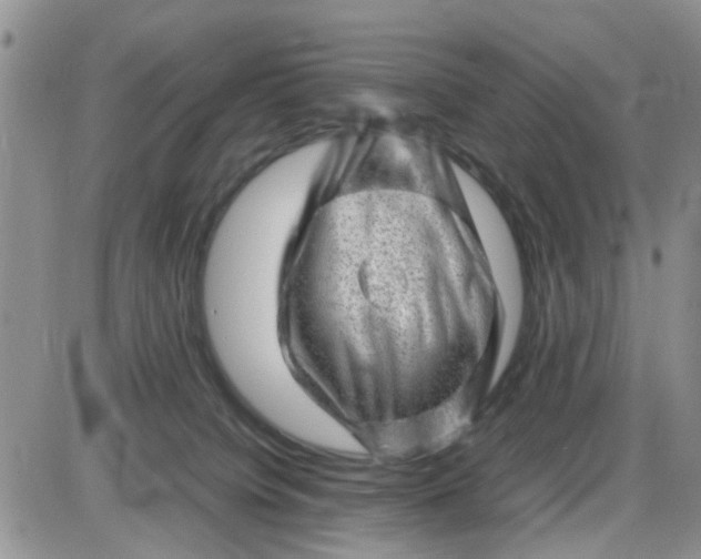 X0000085290084200703231844